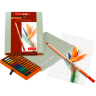 Цветные карандаши Design Bruynzeel набор из 12 цветов в подарочной упаковке купить в магазине товаров для художников и рисования Скетчинг Про