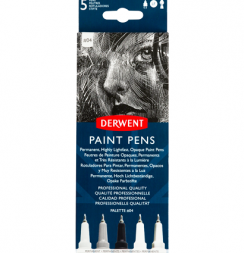 Набор универсальных линеров Derwent Paint Pens №4 перо 0.5 мм 5 цветов