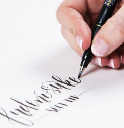 Брашпены Tombow Fudenosuke Pen Soft/Hard 20 Set для каллиграфии в подставке, мягкие +твердые, черный