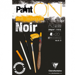 Альбом для смешанных техник Paint'On ClaireFontaine черная бумага А3 / 20 листов / 250 гм