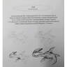 Книга-самоучитель по рисованию скетчей "Рисуем на коленке: Динозавры"