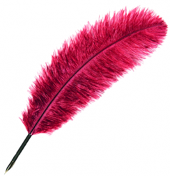 Перо Manuscript Drawing Nib гусиное для каллиграфии 27-30 см разный цвет