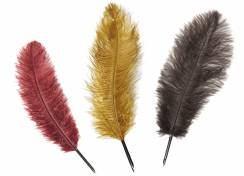 Перо Manuscript Drawing Nib гусиное для каллиграфии 27-30 см разный цвет