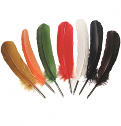 Перо Manuscript Drawing Nib гусиное для каллиграфии 27-30 см разные цвета