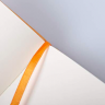 Блокнот в точку Rhodia Webnotebook твердая обложка оранжевый А6 / 96 листов / 90 гм