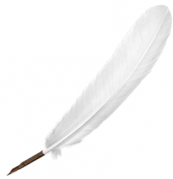 Перо Manuscript Drawing Nib гусиное для каллиграфии 27-30 см белое