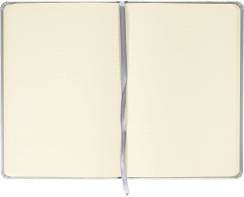 Блокнот в точку Rhodia Webnotebook твердая обложка серебристый А6 / 96 листов / 90 гм