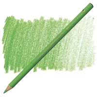 Карандаш художественный Faber-Castell Polychromos 166 травяной