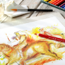 Акварельные карандаши купить Faber Castell Albrecht Durer профессиональные цветные в наборе 12 цветов с кистью в магазине  товаров для скетчинга и рисования ПРОСКЕТЧИНГ - Альбрехт Дюрер