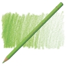 Карандаш художественный Faber-Castell Polychromos 171 светло-зеленый