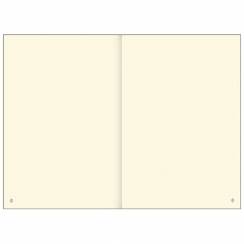 Записная книжка "Бьюти" Greenwich Line в точку А5 / 80 листов