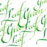 Тушь Winsor&Newton Calligraphy Ink зелёная светлая прозрачная для каллиграфии, 30 мл купить в художественном магазине Скетчинг Про с доставкой по всему миру