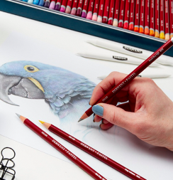 Набор пастельных карандашей Derwent Pastel Pencils 6 цветов в блистере