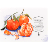 Бумага для акварели White Swan Малевичъ торшон склейка А4 / 20 листов / 250 гм