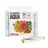 Набор маркеров Sketchmarker Aqua Pro Brush Citrus Set 24 цвета