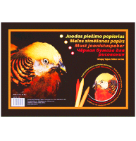 Альбом из черной бумаги SMLT Black Drawing Paper для графических материалов А4 / 10 листов / 120 гм