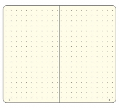 Записная книжка Leuchtturm «Medium» A5 в точку черная 251 стр.