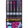 Набор маркеров Chameleon Color Tones - Floral Tones 5 маркеров (цветочные тона) маркеры Хамелеон купить в художественном магазине Скетчинг Про с доставкой по РФ и СНГ