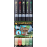 Набор маркеров Chameleon Color Tones - Nature Tones 5 маркеров (природные тона) купить маркеры Хамелеон в художественном магазине Скетчинг Про с доставкой по РФ и СНГ