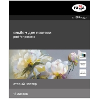 Альбом для пастели Старый мастер Гамма склейка холодные тона ячеистая 25х30 см / 15 листов / 160 гм