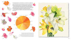 Ботанические портреты. Практическое руководство по рисованию акварелью. Книга по ботанической иллюстрации / Билли Шоуэлл