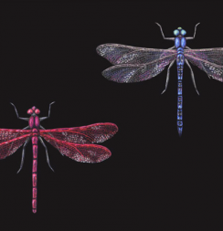 Цветные карандаши Derwent "Металлик" Traditional 6 цветов набор в блистере