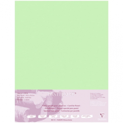 Бархатная бумага для пастели Pastelmat ClaireFontaine светло-зеленая пачка 50х70 см / 5 листов / 360 гм