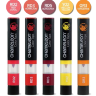 Набор цветовых блендеров Chameleon Color Tops Warm Tones 5 для добавления цвета к маркеру теплые купить в художественном магазине Скетчинг Про с доставкой по РФ и СНГ