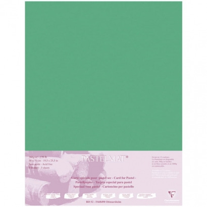 Бархатная бумага для пастели Pastelmat ClaireFontaine тёмно-зеленая пачка 50х70 см / 5 листов / 360 гм