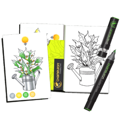 Раскраска-склейка Chameleon Color Cards Flowers / Цветы - карточки